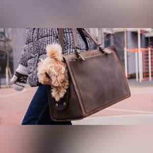 L: 8-10 kg (17-22 pound) dog: 42 cm (16.5") x 19 cm (7.5") x 30 cm (11.8")